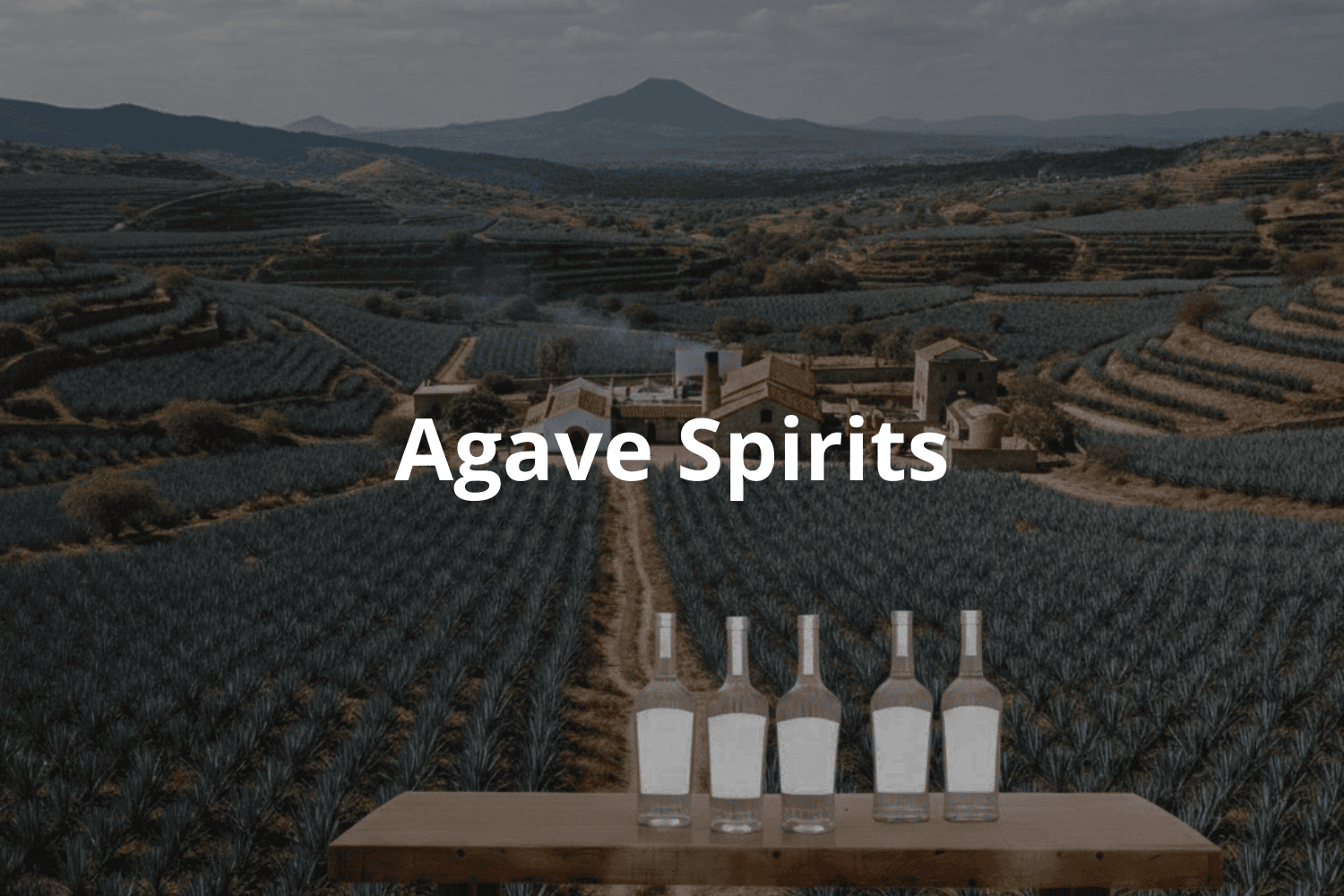 Agave Spirits - Exploring Mexico’s Most Iconic Distilled Traditions