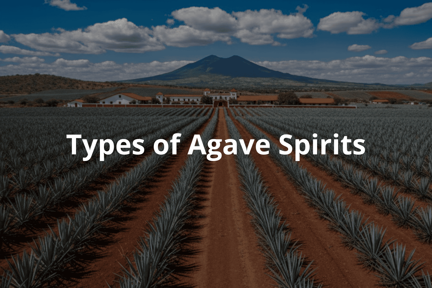 Types of Agave Spirits