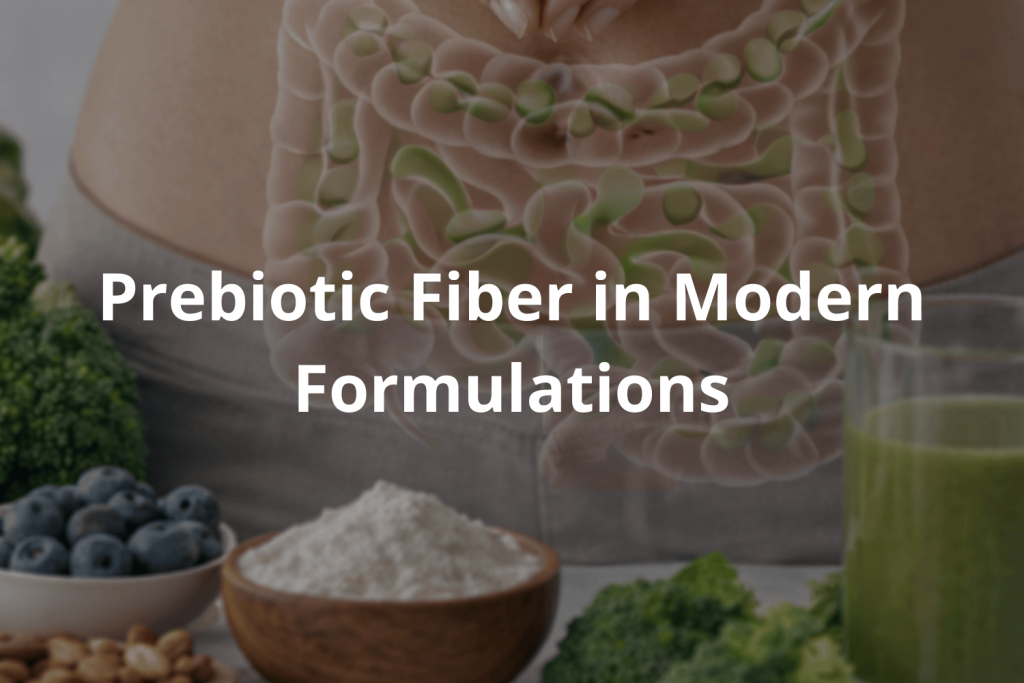 prebiotic fiber