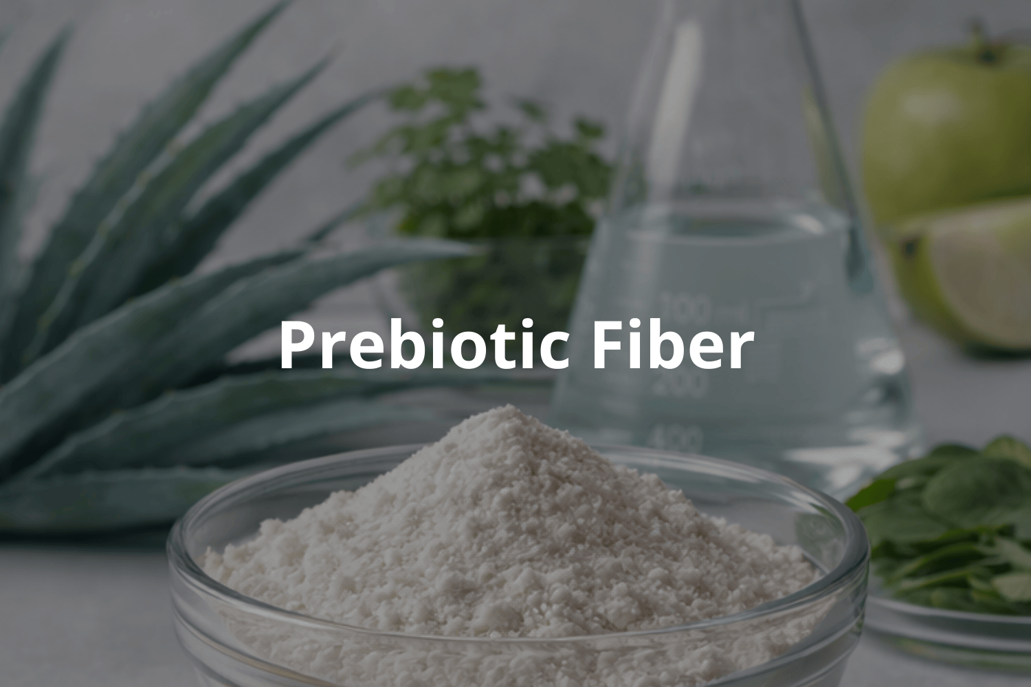 prebiotic fiber