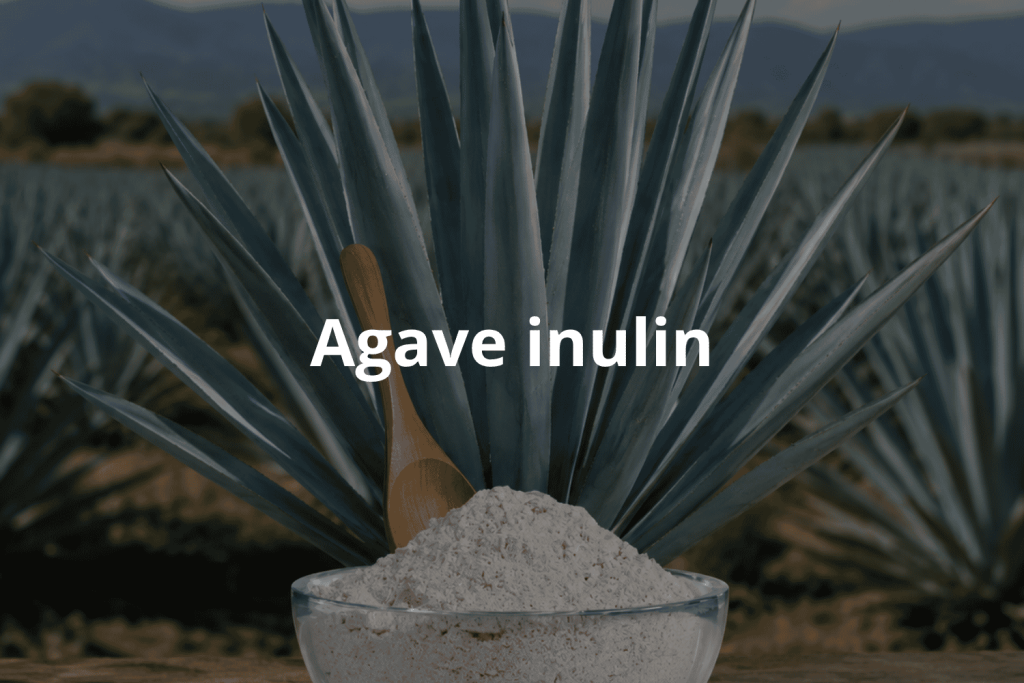 Agave Inulin as a Natural Prebiotic Solution