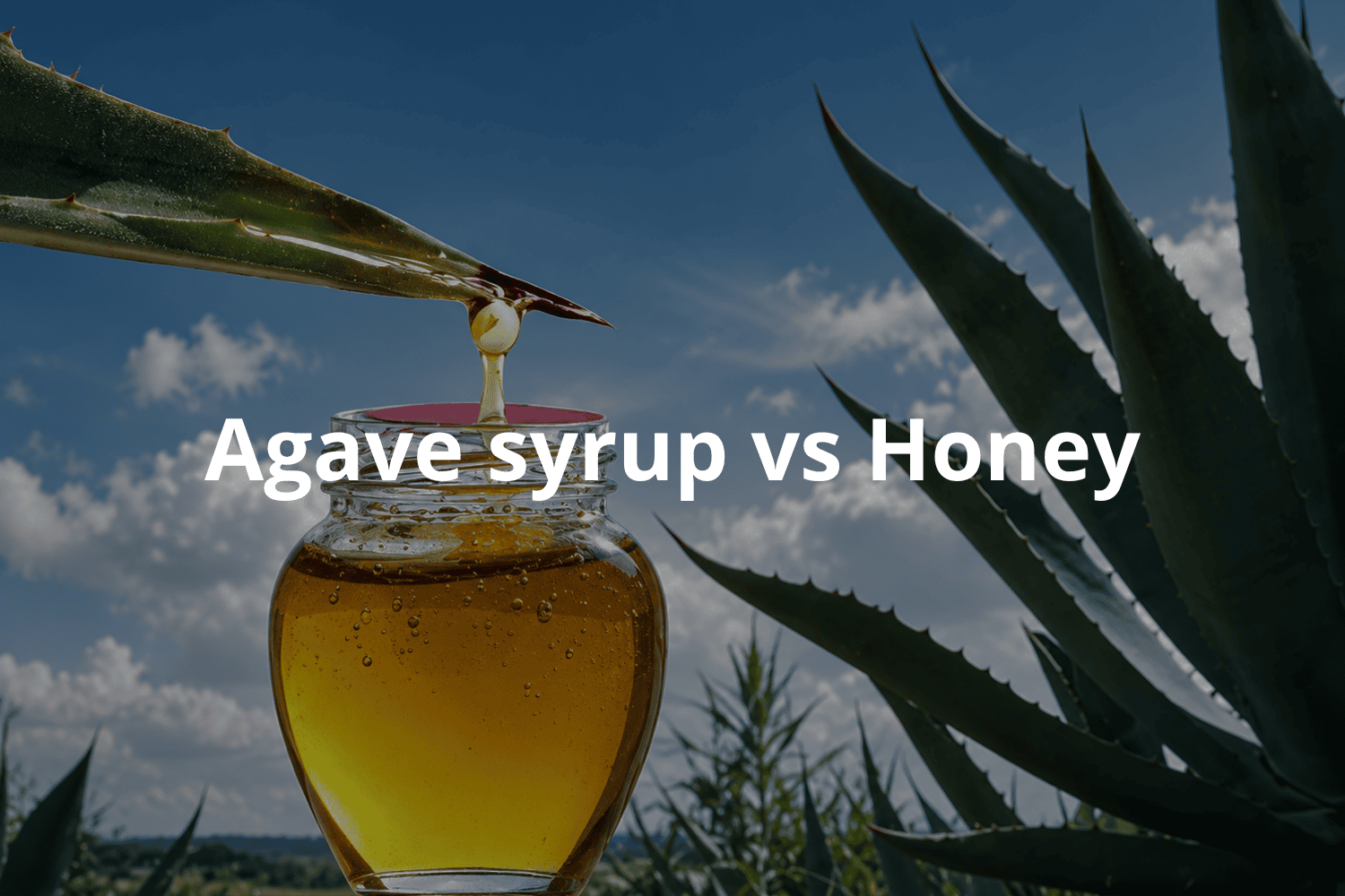 Agave Syrup vs Honey: Which Sweetener Fits Modern Wellness Trends?