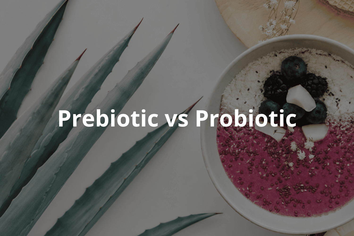 Prebiotic vs Probiotic Understanding the Difference for Better Gut Health
