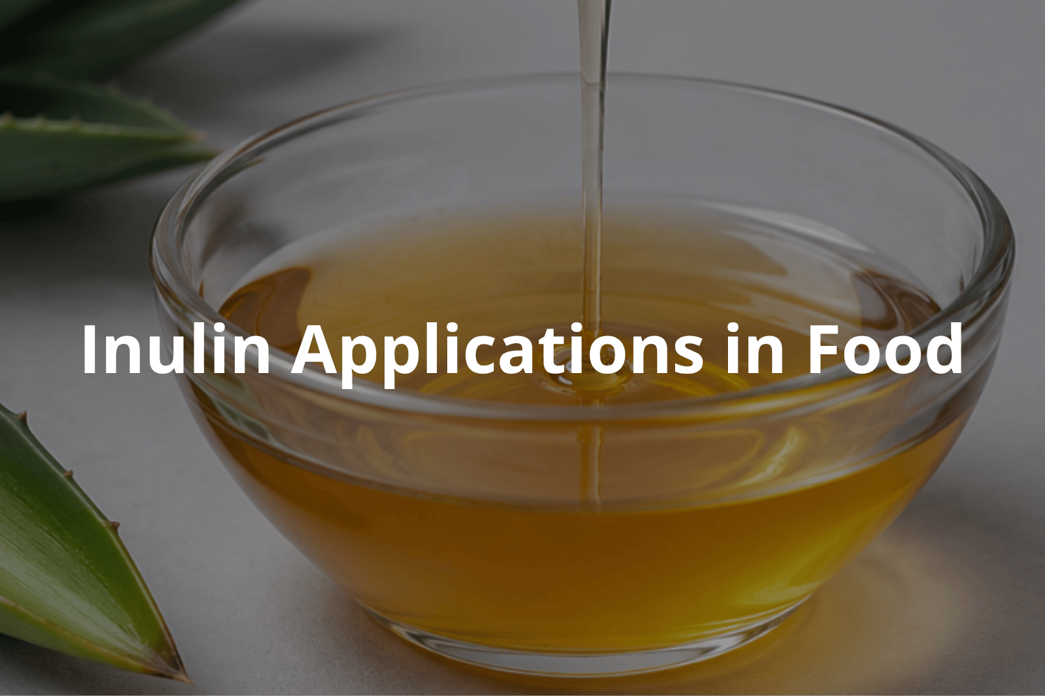 Healthier Functional Foods Through Inulin | Inulin Applications in Food