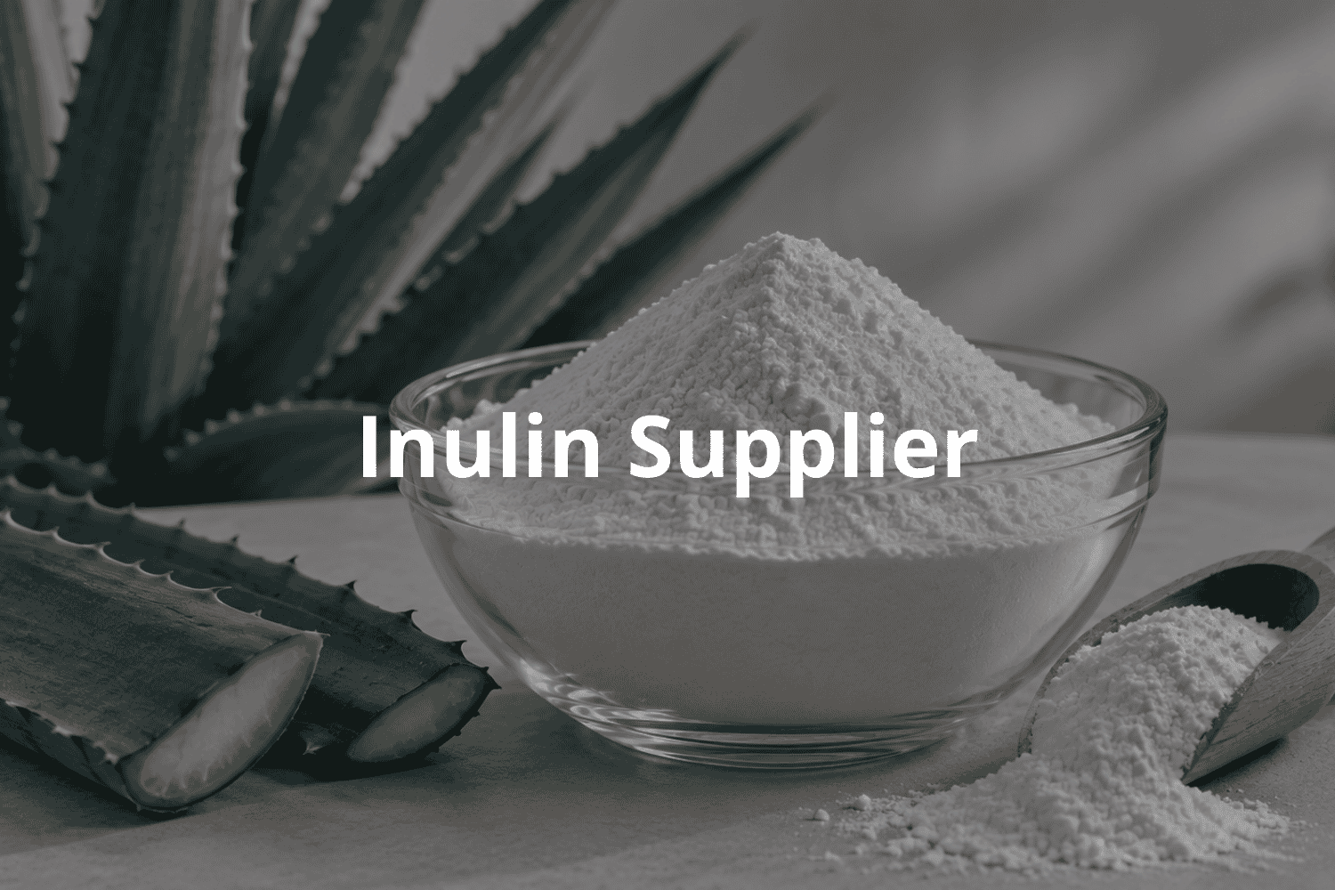 Agave inulin powder for food and beverage manufacturing